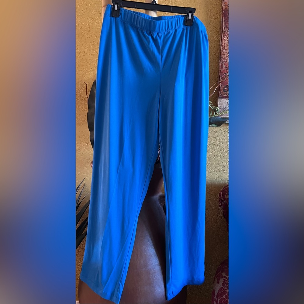 Brand Susan Graver, size large, color blue.